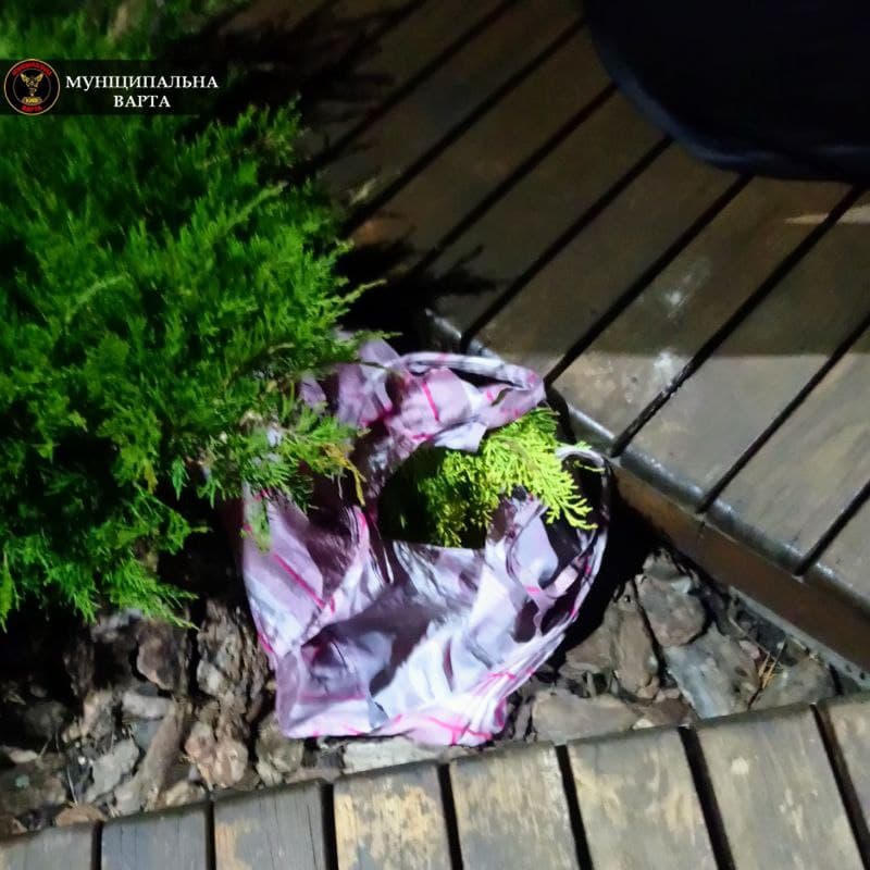 У Києві затримали злодійок із незвичайним "уловом": фото крадіжки